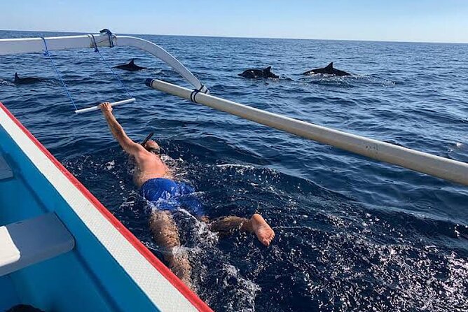 Dolphin Watching Tour, Swimming with Dolphins and Snorkeling - Price and Value Around $21.39: What You Really Pay For