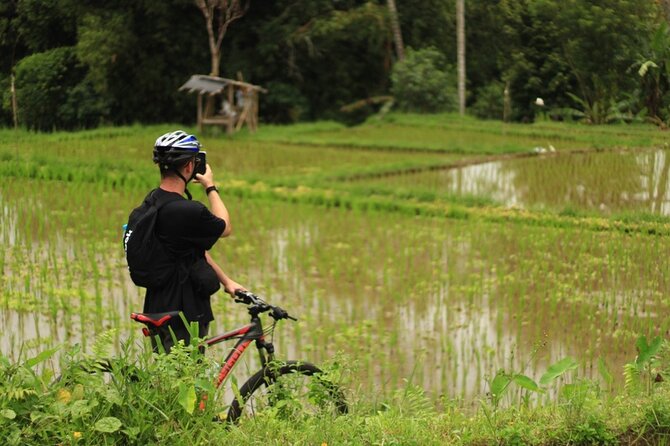 Downhill Cycling Ubud with Volcano, Rice Terrace and Educational - Price and value: why $25 can work if you want this exact style