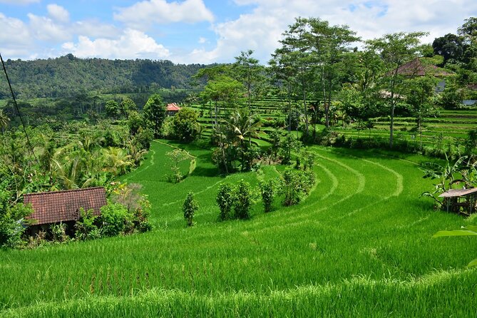 East Bali Tour: Gate of Heaven, Water Palace, Sleeping Gajah - Sidemen valley break and lunch at Wapa di Ume