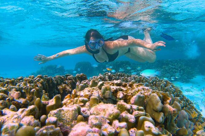 East Lombok Secred Gilis (Gili Kondo, Gili Bidara, Gili Petagan, Gili kapal) - Gili Kondo: East Lombok’s Most Popular Stop, Camping Energy, and Real Coral Conditions