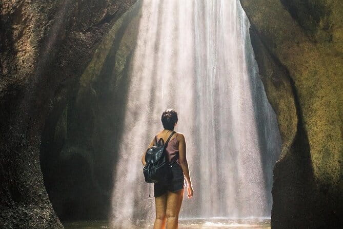 Eastern Bali and Besakih Temple Tour - Guide and driver quality: the real value multiplier