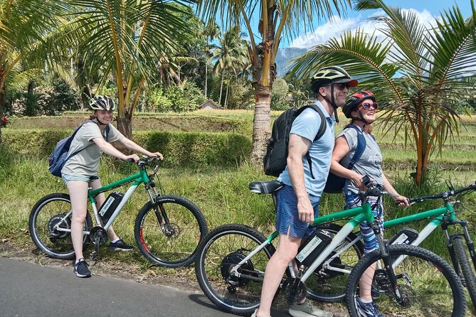 Electric bicycle tour in Jatiluwih UNESCO site - Key Things I’d Bank On Before You Go