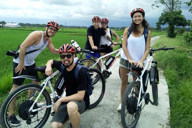 Electric bicycle tour in Jatiluwih UNESCO site - The UNESCO Part: Seeing Rice Terraces Without Feeling Rushed
