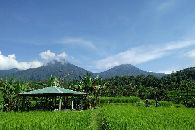 Electric bicycle tour in Jatiluwih UNESCO site - The Lunch Stop: Nasi Campur in a Rural Setting