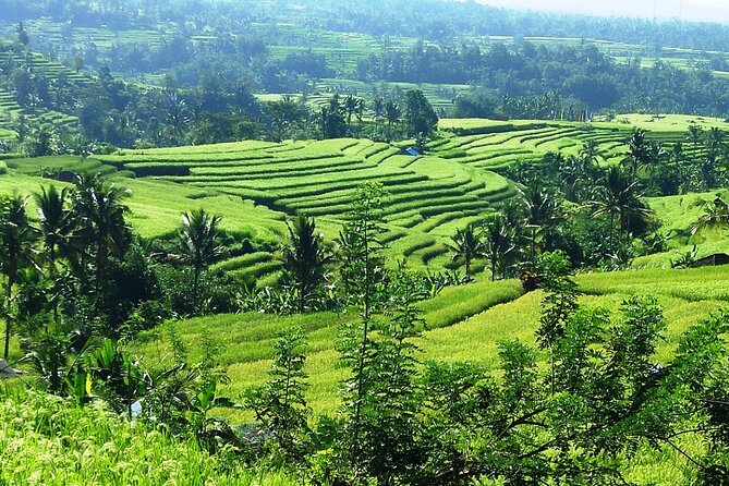 Electric bicycle tour in Jatiluwih UNESCO site - Price and Value: Is $75 a Good Deal?