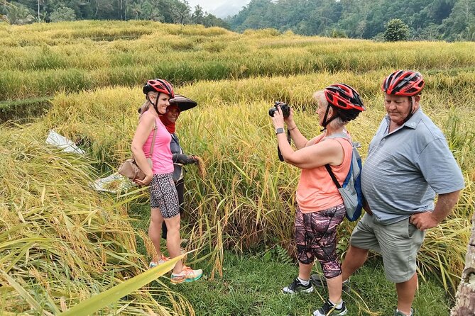 Electric bicycle tour in Jatiluwih UNESCO site - How the Electric Bikes Feel in Real Life