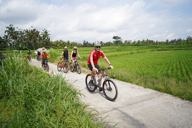 Electric Bike and Swing Package - Key things I’d circle before you book