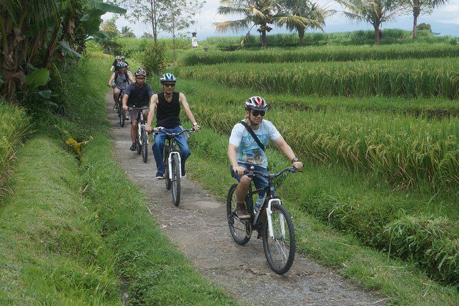Electric Bike and Swing Package - Kintamani and the first real ride rhythm from Abuan Kintamani