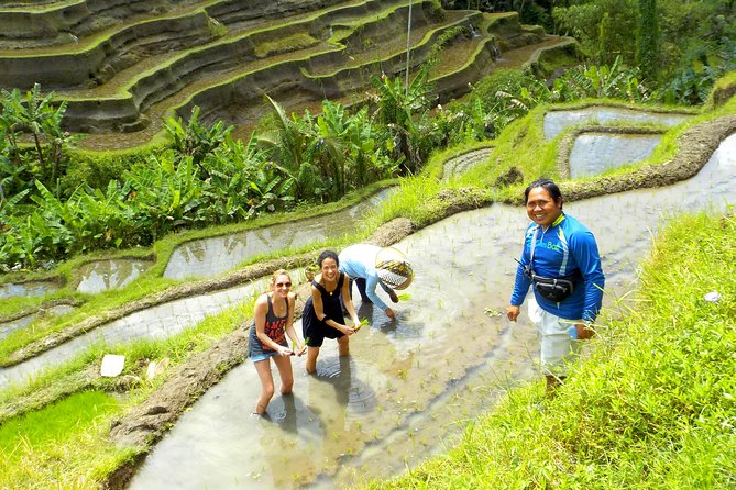 Electric Cycling Tour of Ubud with Free Hotel Transfer and Lunch - Tegalalang Rice Terrace Stop: Photos, Quiet Views, and Timing