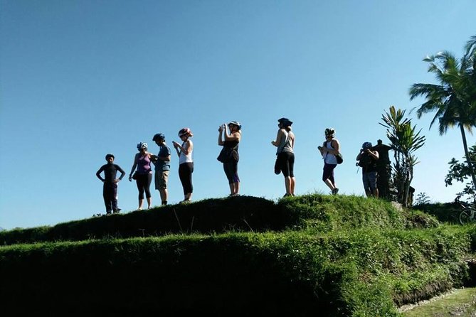 Electric Cycling Tour of Ubud with Free Hotel Transfer and Lunch - Lunch or Dinner Included, and Why It Makes This Feel Like a Deal