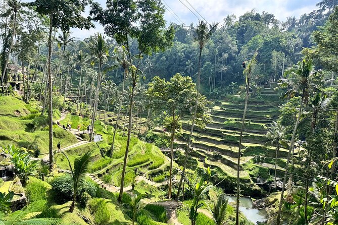 Exclusive Ubud Experience: Nature, Culture & Adventure in One Day - Tegenungan (Tukad Cepung) waterfall break for swimming and reset time