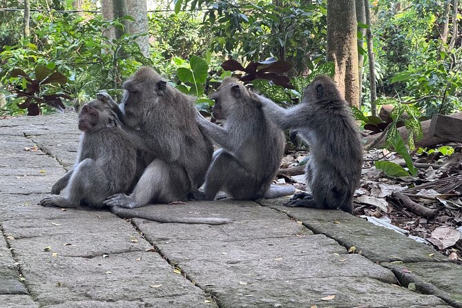Exclusive Ubud Experience: Nature, Culture & Adventure in One Day - Guide quality and comfort: what the best versions of this tour do