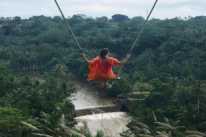Experience Full Day to Bali Swing Temple and Monkey Forest - Key highlights at a glance