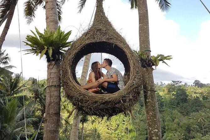 Experience Full Day to Bali Swing Temple and Monkey Forest - How the tour is set up in Ubud (and why it feels easy)