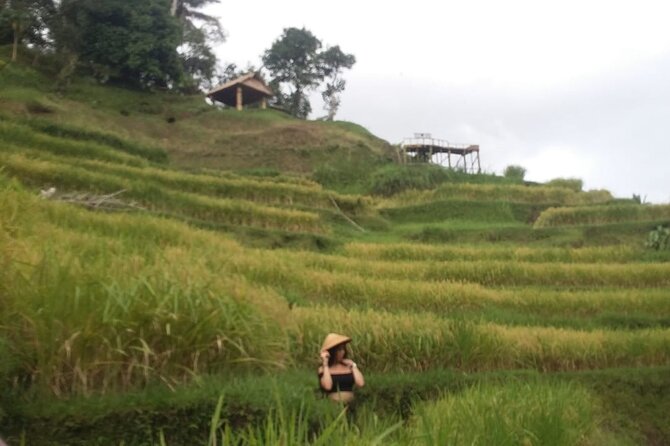 Experience Full Day to Bali Swing Temple and Monkey Forest - Batuan Temple: what to notice at a 10th-century site