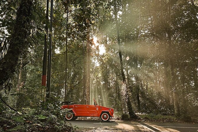 Explore Bali's Hidden Gems In a Classic Vw Convertible - Tegalalang Rice Terraces: subak, viewpoints, and a one-hour window