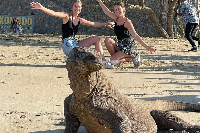 Explore Komodo and Swim with Whale Sharks - Key things I’d mark on your mental map