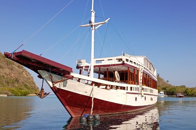 Explore Komodo and Swim with Whale Sharks - Day 3: Rinca’s Pink Beach and Komodo National Park dragon viewing