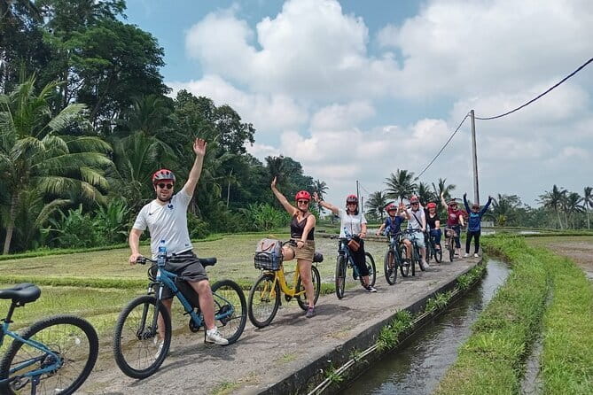 Explore Rice Fields and Hidden Villages with Ubud E-Bike Tour - Key Highlights You Should Know Before You Go