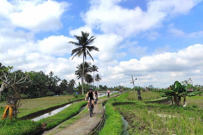 Explore Rice Fields and Hidden Villages with Ubud E-Bike Tour - Lunch and the Comfort Factor That Makes Tours Feel Worth It