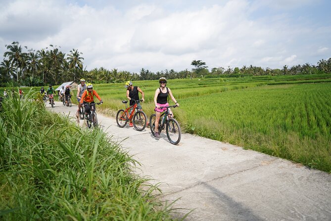 Explore Ubud with Electric Bike - Tegalalang Rice Terrace: short stop, strong scenery
