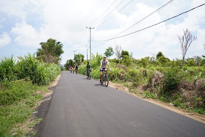Explore Ubud with Electric Bike - Tegallalang Balinese house visit: learning daily life, not just tour facts