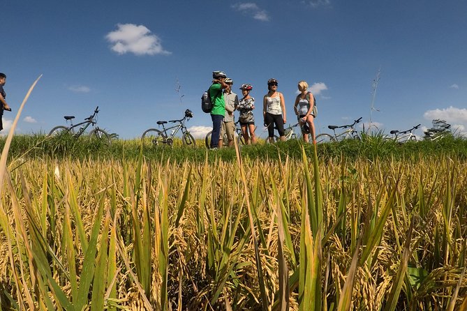 Explore Ubud with Electric Bike - Greenkubu Restaurant and Swing: fuel up, then grab the early photos