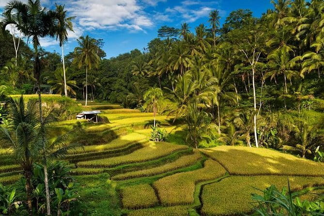 Exploring Bali in 3 Days: Discover Top Places in Bali - Key highlights you will feel right away