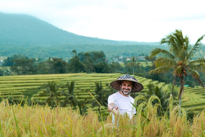 Exquisite UNESCO World Heritage Sites in Bali - Stop 3: Jatiluwih Green Land rice terraces for hikers and shutterbugs