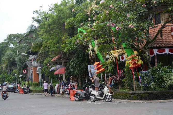 Famous Ubud villlage and Dance Tour with Rice Terrace And Waterfall Visit - Bali Pulina coffee plantation, learning Kopi luwak basics