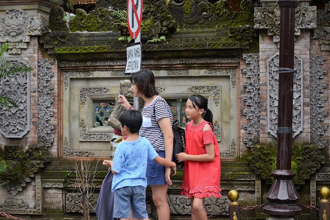 Famous Ubud villlage and Dance Tour with Rice Terrace And Waterfall Visit - Tegenungan waterfall, a timed nature stop that still feels worth it