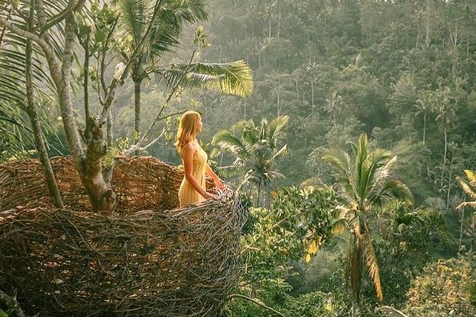 Fantastic Ubud Tour with Jungle Swing - Price and value: $32 plus what to budget for