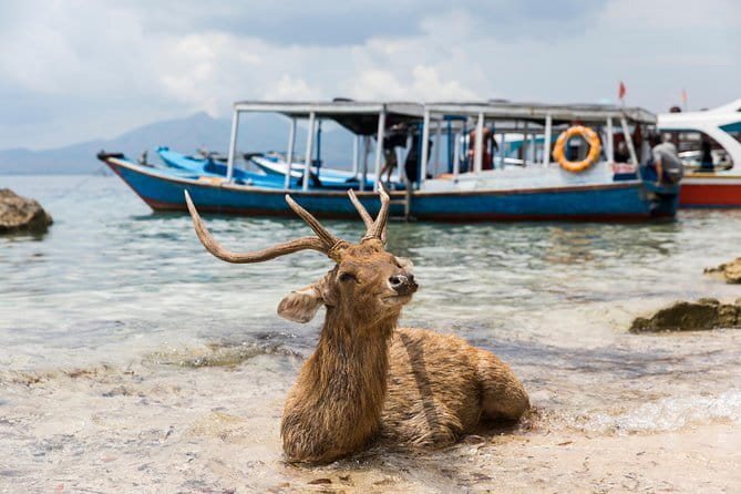 Fastboat to Gili Trawangan or Gili Air - The Fastboat Crossing: Speed, Sea State, and What to Expect