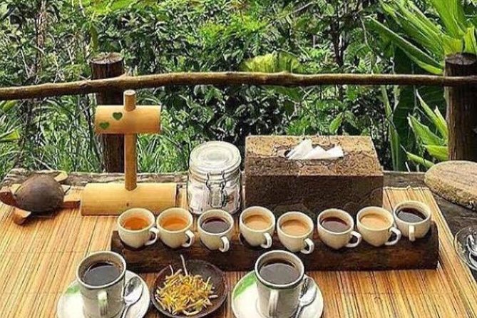 Favorite Sites of Ubud Daytrip - Tegalalang Rice Terrace: photos plus a calm walk window