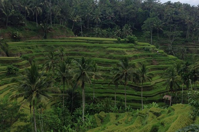 Favorite Sites of Ubud Daytrip - Celuk Village: gold and silver craft you can actually watch