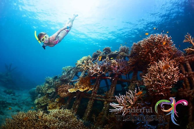 Fly Board Experience in Bali - What Your 20 Minutes Include, and What It Costs Extra