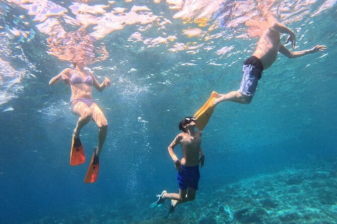 From Bali: Nusa Penida Full Day Tour and Snorkeling - Quick takes on this Nusa Penida snorkeling and viewpoints day