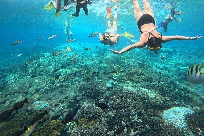 From Bali: Nusa Penida Full Day Tour and Snorkeling - Who this tour fits best, and who should rethink it