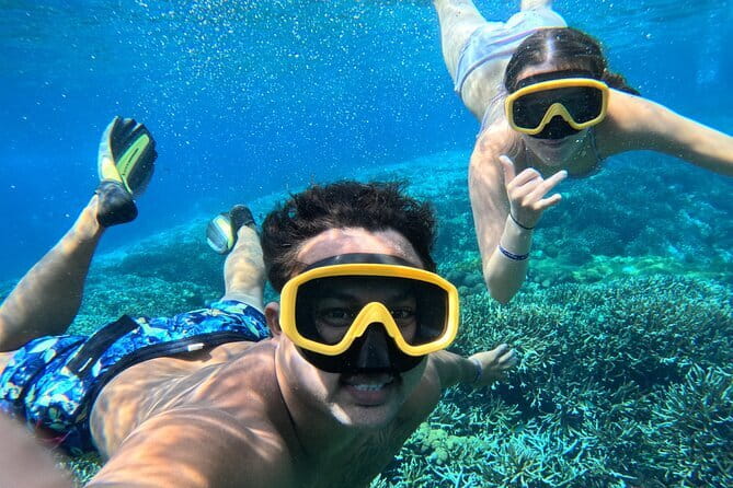 From Bali: Nusa Penida Full Day Tour and Snorkeling - Kelingking Beach: the famous T-Rex cliff, plus the steep walk reality