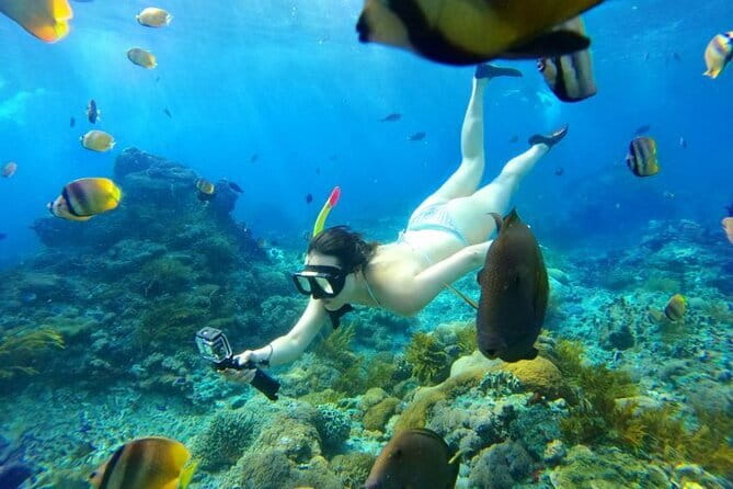 From Bali: Nusa Penida Snorkeling and Island Tour - Manta Bay: the big-animal reason people make this trip
