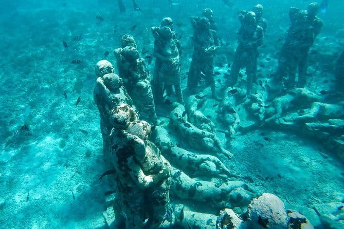 From Gili Trawangan & Gili Air Snorkeling Trip Sharing & Private - Price and Value, From $15 to the Private Upgrade