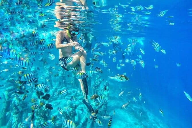 From Gili Trawangan & Gili Air Snorkeling Trip Sharing & Private - Shared vs Private: Choosing the Right Boat Size for Your Style