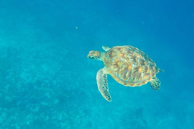From Gili Trawangan & Gili Air Snorkeling Trip Sharing & Private - The Route: Gili Air, Meno, and Trawangan Stops