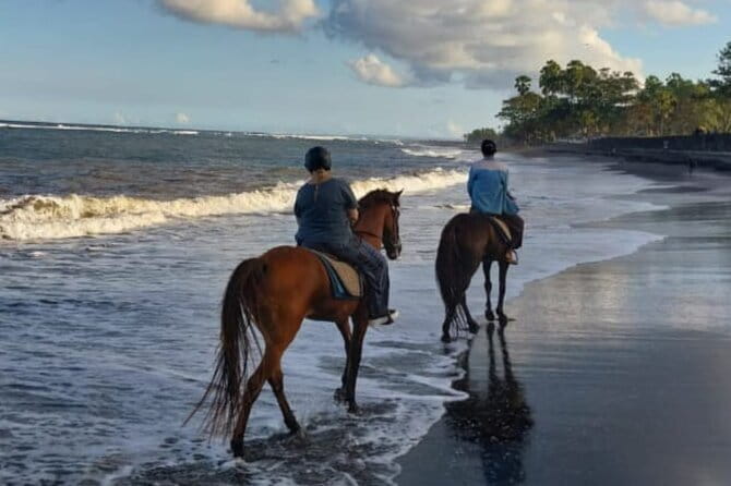 From Ubud 1 Hour Horse Riding at The Beach Experiences - Weight limit and physical comfort: the 90kg rule and your day ahead