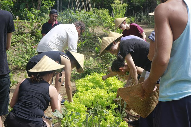 From Ubud: Authentic Bali Farm Cooking School & Organic Farm - Cooking stations: six dishes, dessert included, and real guidance