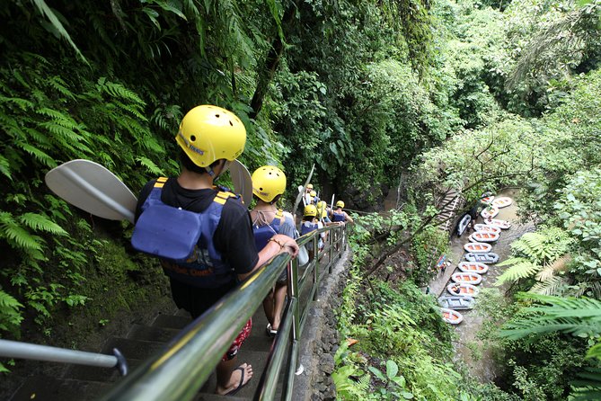 Full-Day Ayung River White Water Rafting and Ubud Tour - Sacred Monkey Forest Sanctuary: how to enjoy macaques safely