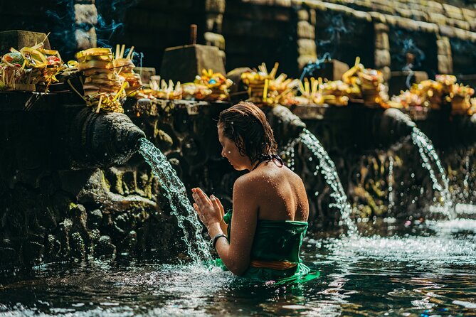Full Day Best of Ubud Private Tour - Key Highlights You’ll Actually Feel