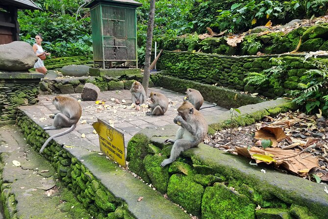 Full Day Best of Ubud Private Tour - A Ubud Day Built Around Your Timing