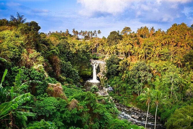 Full-Day Highlights and Best of Ubud Village - Why this Ubud circuit works for a first visit