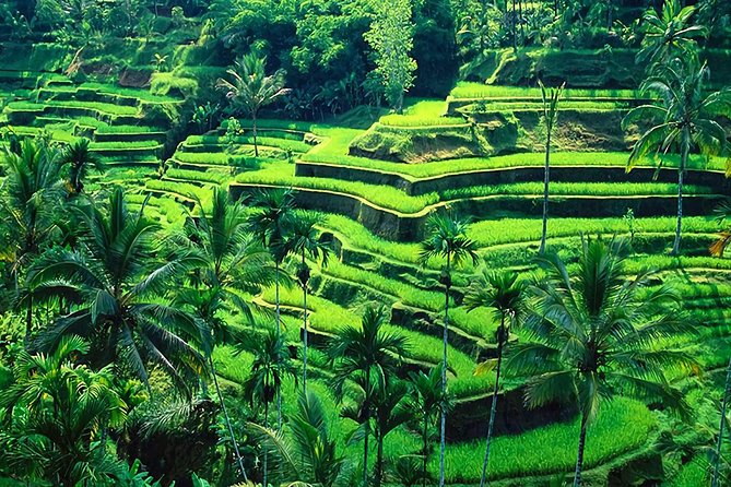 Full-Day in Bali: Amazing Ubud Tour - Puseh Batuan Temple, a calm start with carvings from 1020 AD